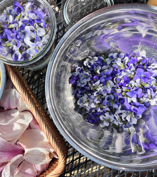 Violet Flower Essence